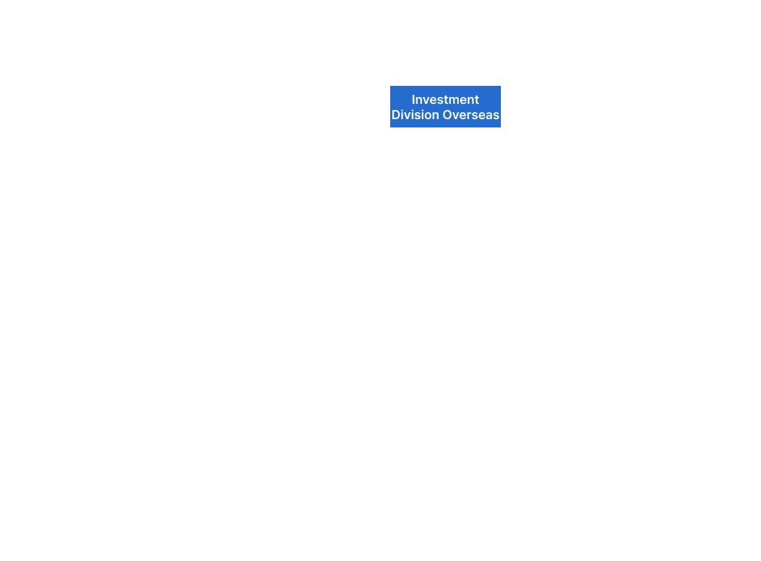 Investment Division Overseas
