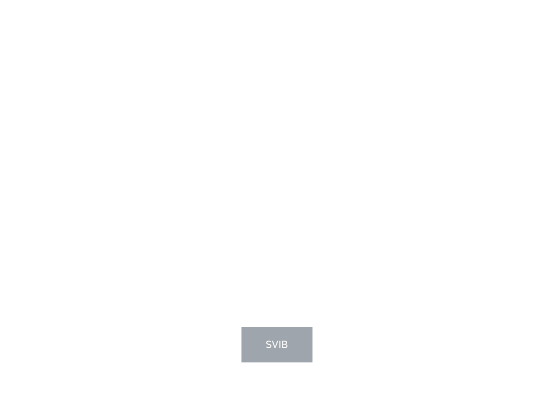 SVIB