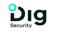 Dig Decurity